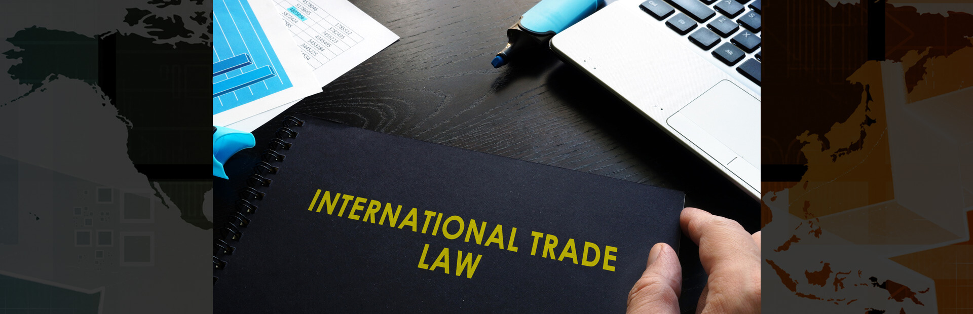 International Trade Laws Expert